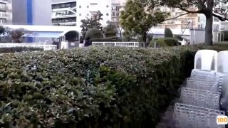 国产高清一区二区在线